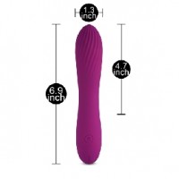 10 Speeds Rechargeable Silicone Purple Vibrator